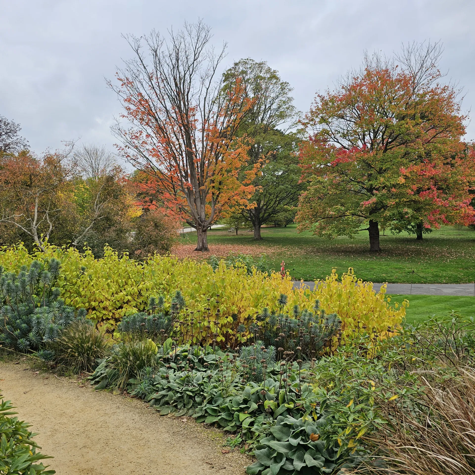 A visit to the Royal Botanical Gardens, Kew | Fresno Gardening Green